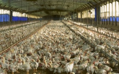 OUR HABITS ARE NOT US!